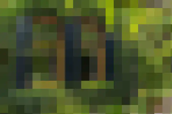 IJpeijsingel 42 Ryptsjerk thumbnail 45