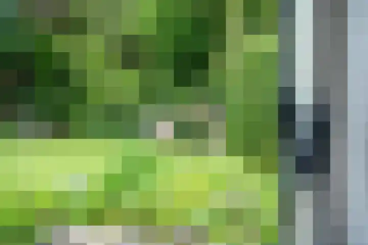 IJpeijsingel 42 Ryptsjerk thumbnail 46