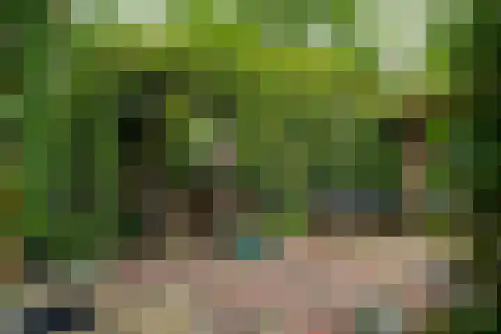 IJpeijsingel 42 Ryptsjerk thumbnail 47