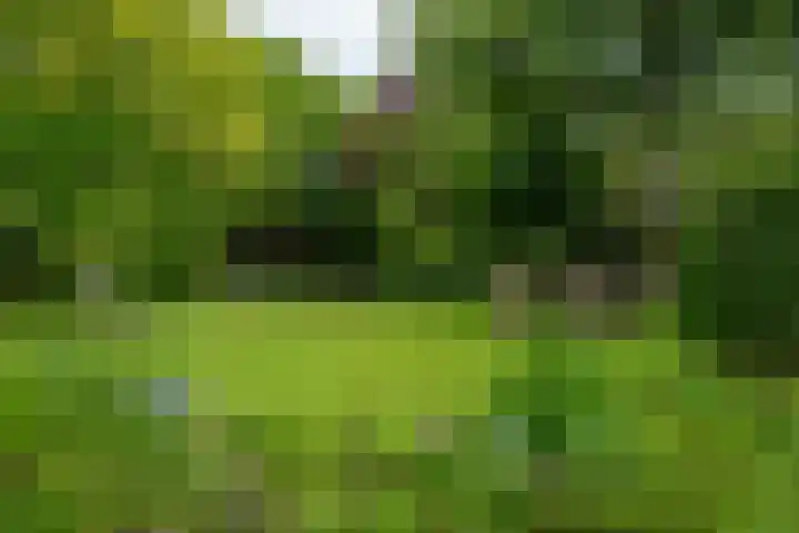 IJpeijsingel 42 Ryptsjerk thumbnail 48
