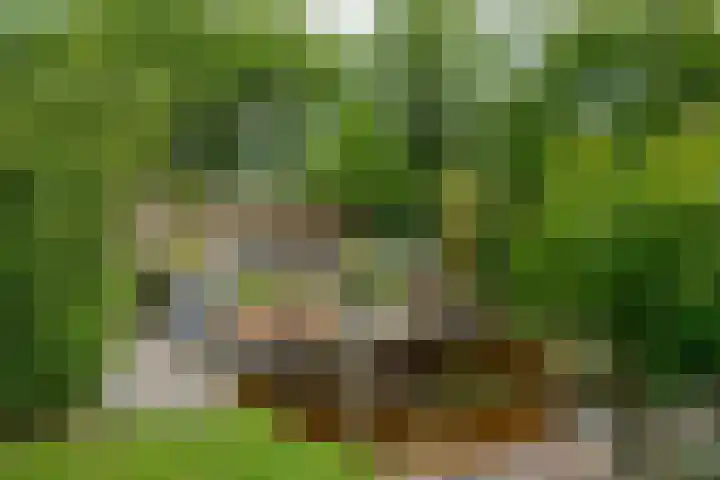 IJpeijsingel 42 Ryptsjerk thumbnail 49