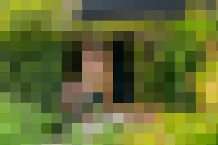 IJpeijsingel 42 Ryptsjerk thumbnail 5