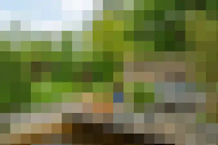 IJpeijsingel 42 Ryptsjerk thumbnail 50