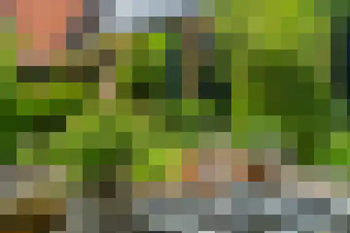 IJpeijsingel 42 Ryptsjerk thumbnail 51
