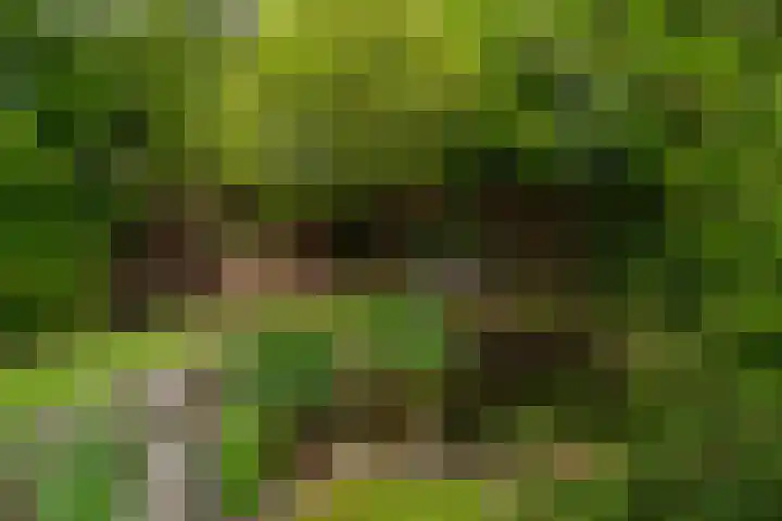 IJpeijsingel 42 Ryptsjerk thumbnail 52