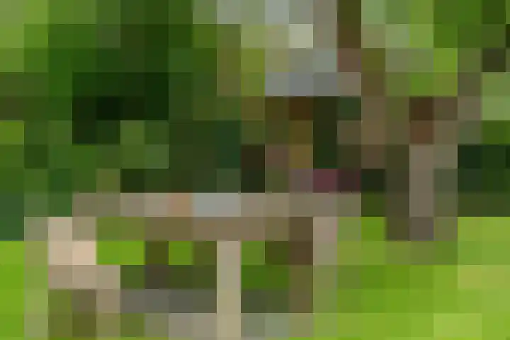 IJpeijsingel 42 Ryptsjerk thumbnail 53
