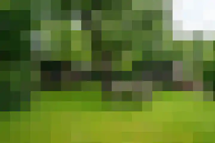 IJpeijsingel 42 Ryptsjerk thumbnail 55