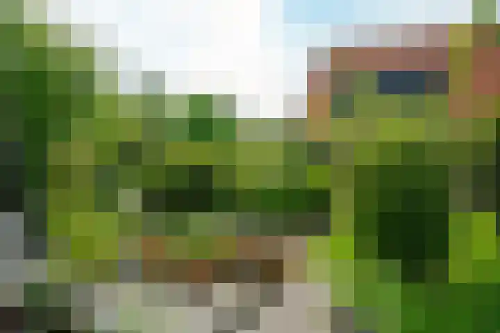 IJpeijsingel 42 Ryptsjerk thumbnail 56