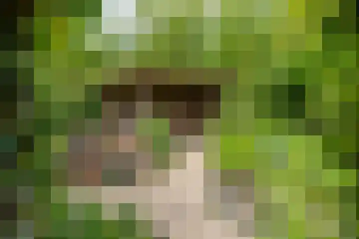 IJpeijsingel 42 Ryptsjerk thumbnail 57