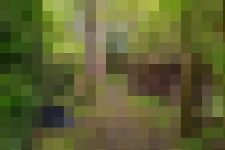 IJpeijsingel 42 Ryptsjerk thumbnail 58