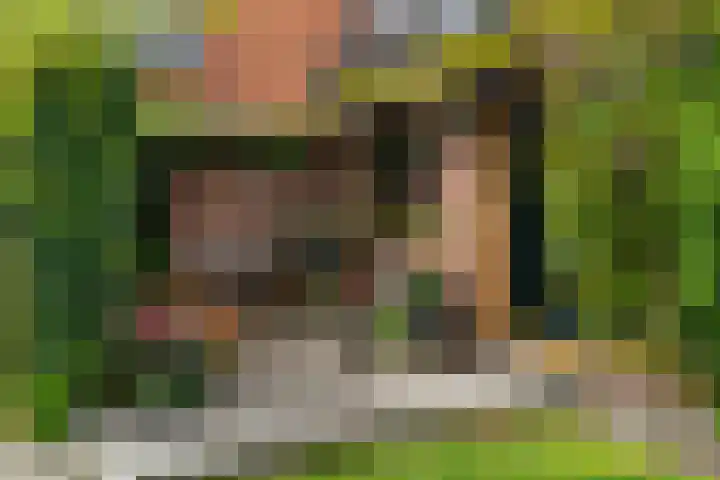IJpeijsingel 42 Ryptsjerk thumbnail 6