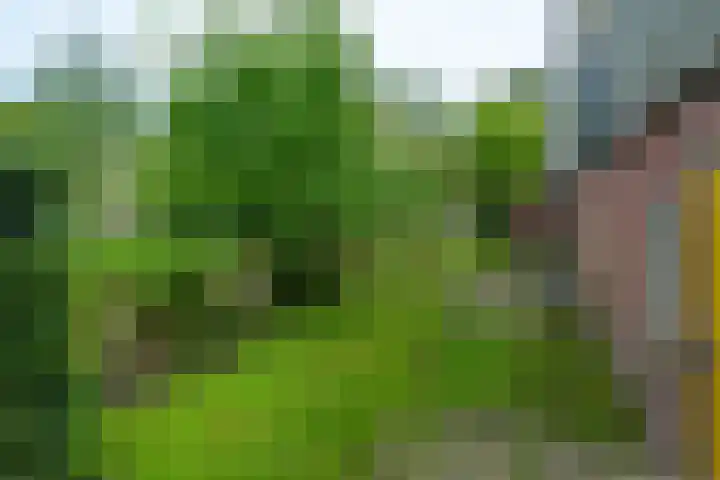 IJpeijsingel 42 Ryptsjerk thumbnail 60