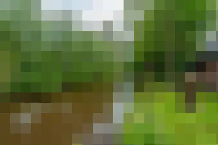 IJpeijsingel 42 Ryptsjerk thumbnail 61
