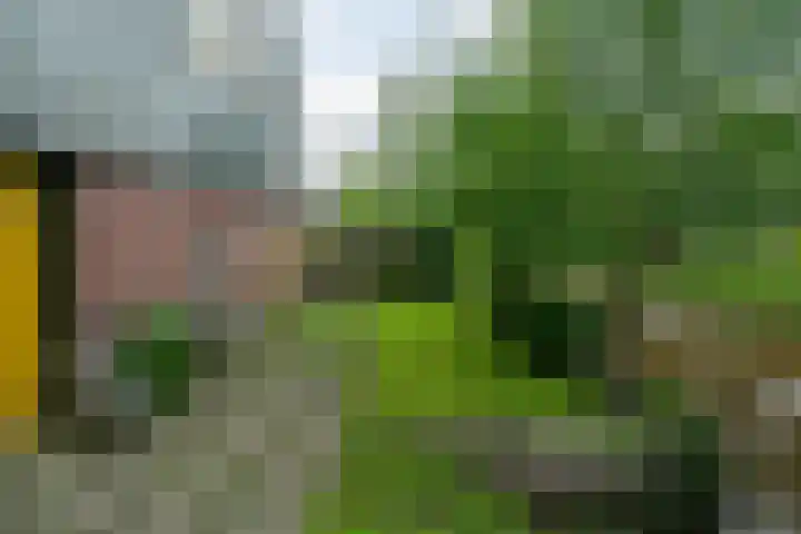 IJpeijsingel 42 Ryptsjerk thumbnail 62