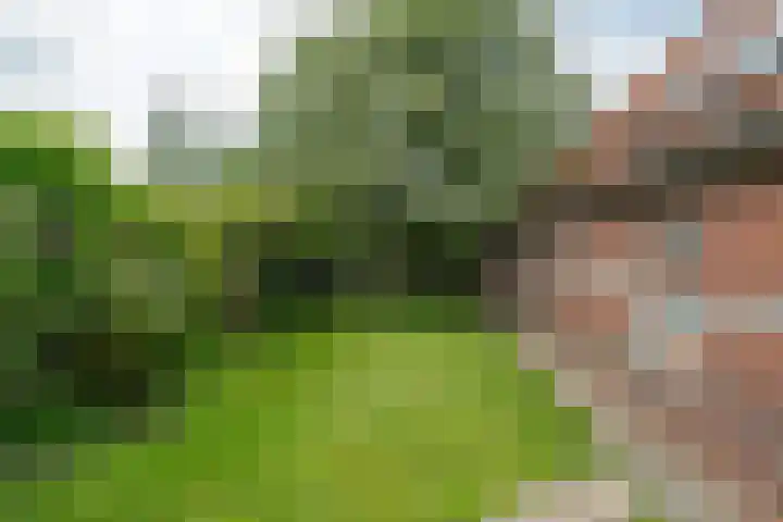 IJpeijsingel 42 Ryptsjerk thumbnail 64