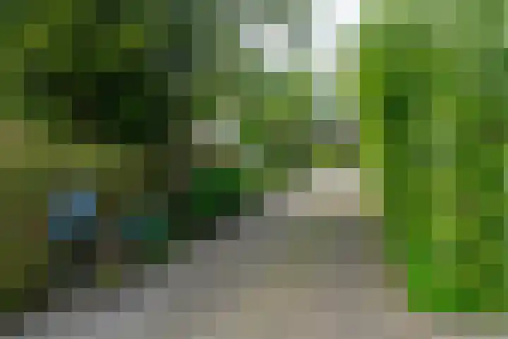 IJpeijsingel 42 Ryptsjerk thumbnail 65