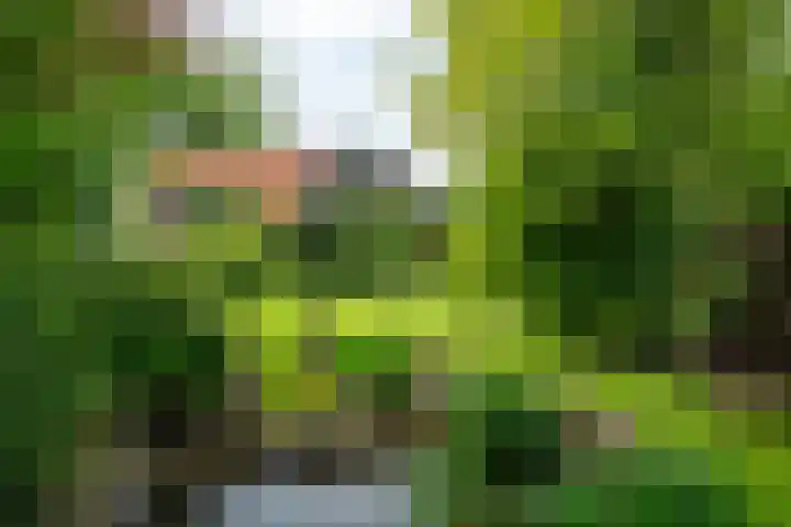 IJpeijsingel 42 Ryptsjerk thumbnail 71