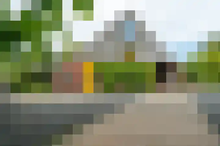 IJpeijsingel 42 Ryptsjerk thumbnail 8