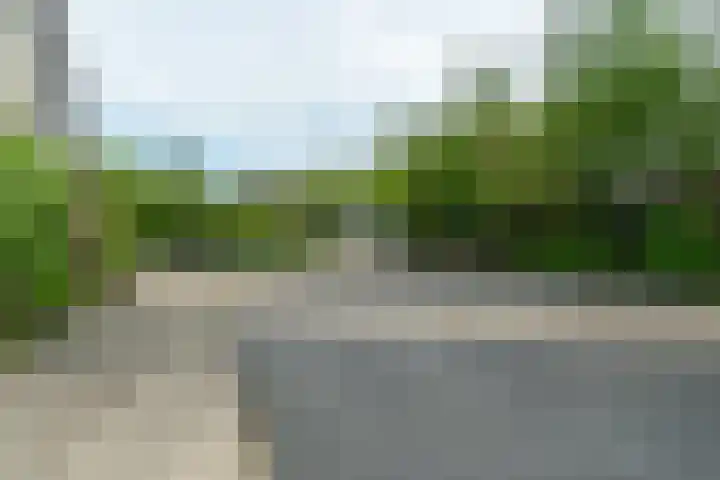 IJpeijsingel 42 Ryptsjerk thumbnail 9