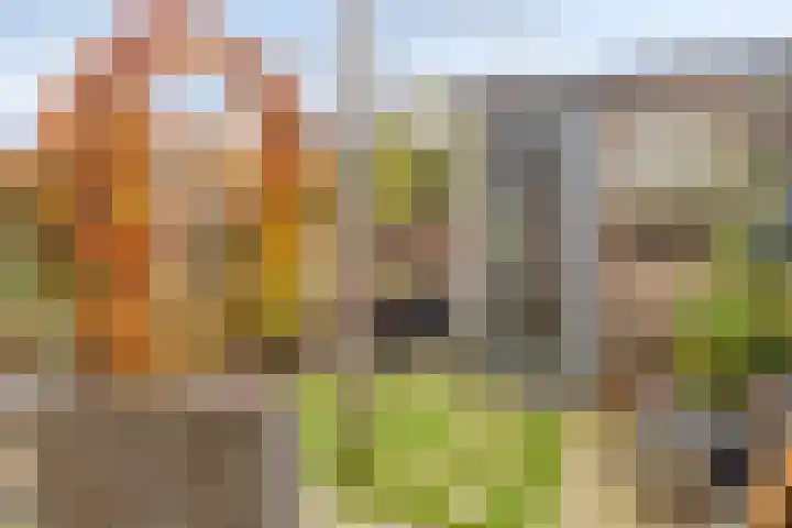 IJplein 131 Amsterdam thumbnail 29