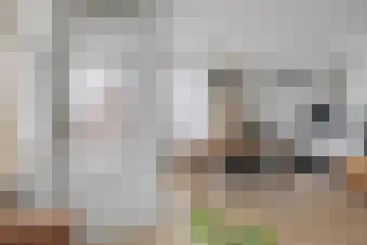 IJplein 131 Amsterdam thumbnail 8