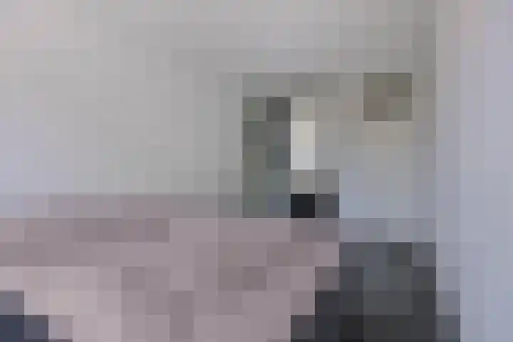 IJplein 133 Amsterdam thumbnail 18