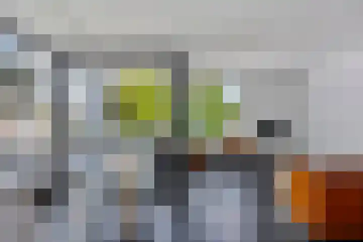 IJplein 133 Amsterdam thumbnail 7