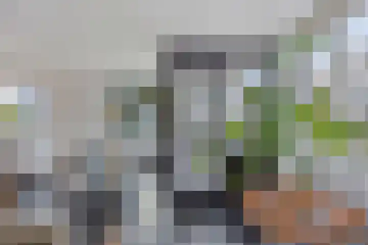IJplein 133 Amsterdam thumbnail 9