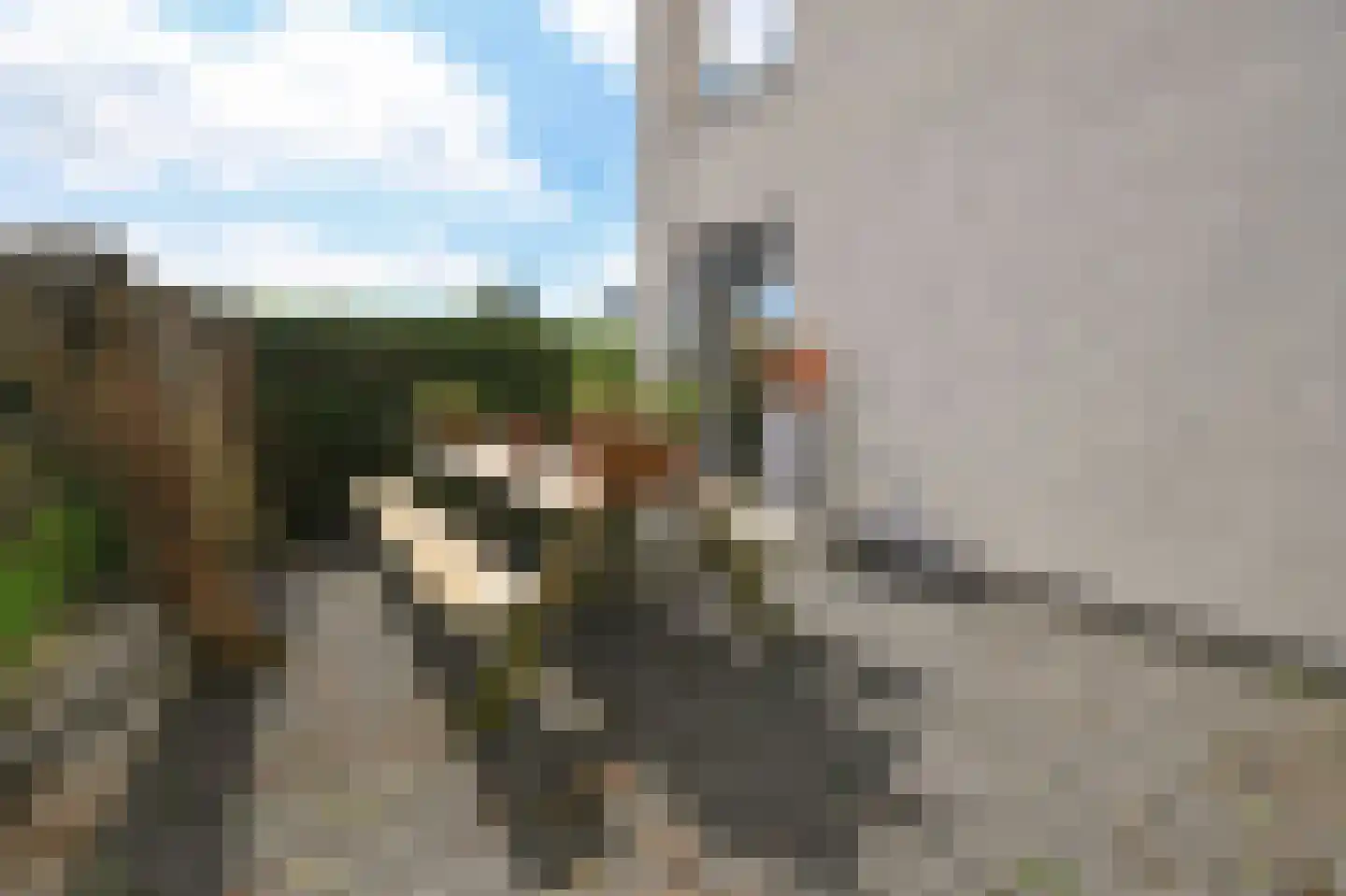 IJplein 227 Amsterdam thumbnail 27