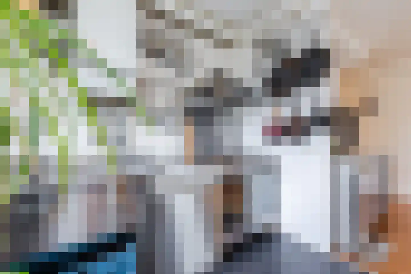 IJplein 238 Amsterdam thumbnail 10