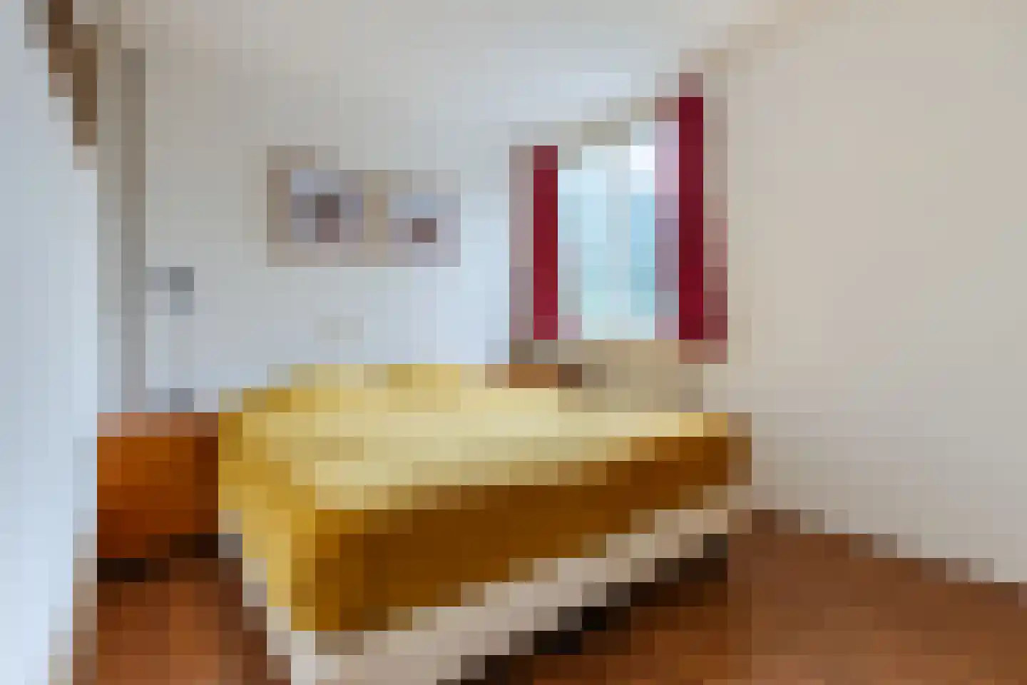 IJplein 238 Amsterdam thumbnail 4