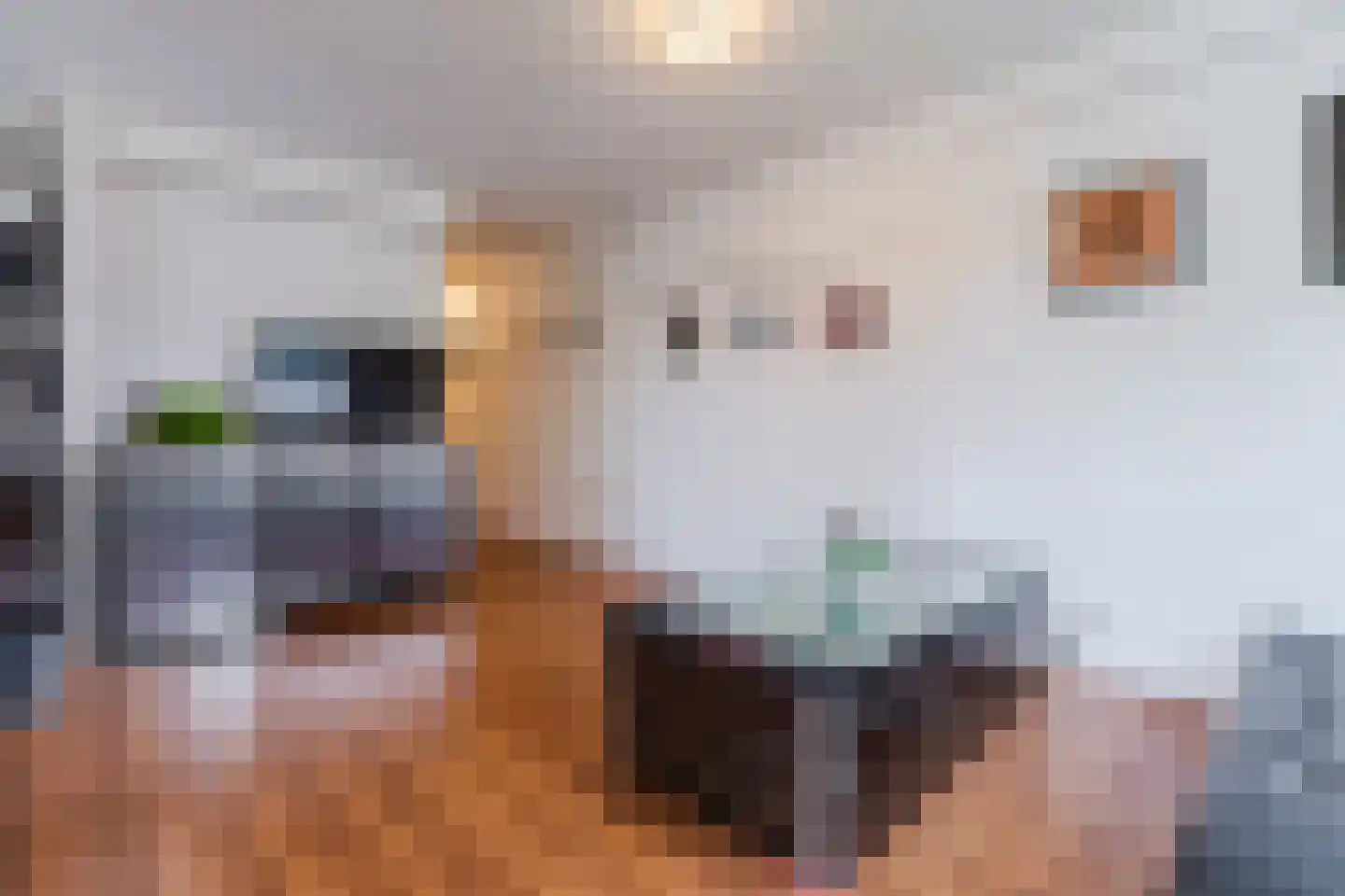 IJplein 238 Amsterdam thumbnail 7