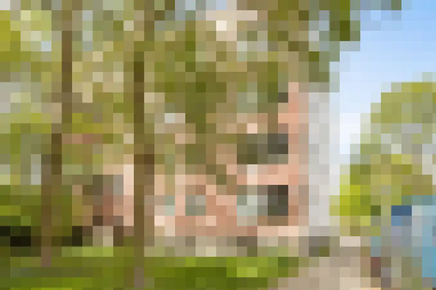 IJplein 242 Amsterdam thumbnail 4