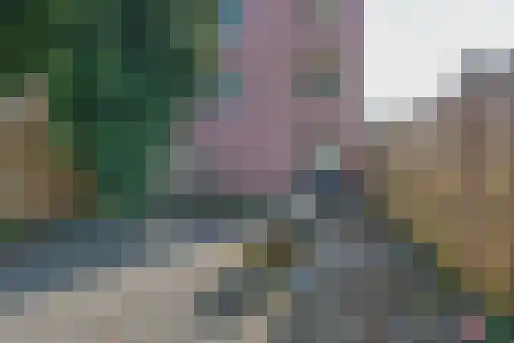 IJplein 270 Amsterdam thumbnail 17