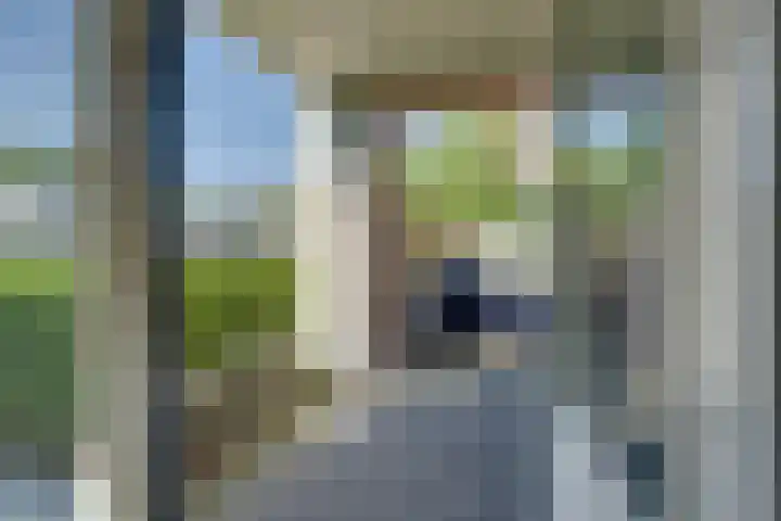 IJplein 270 Amsterdam thumbnail 20