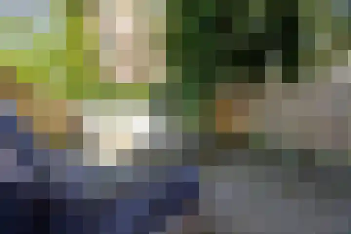 IJplein 270 Amsterdam thumbnail 22