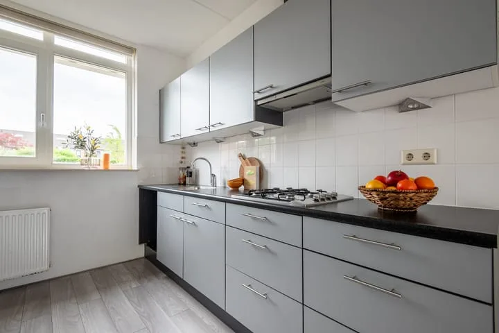 IJsbaan 1 Gorinchem thumbnail 6