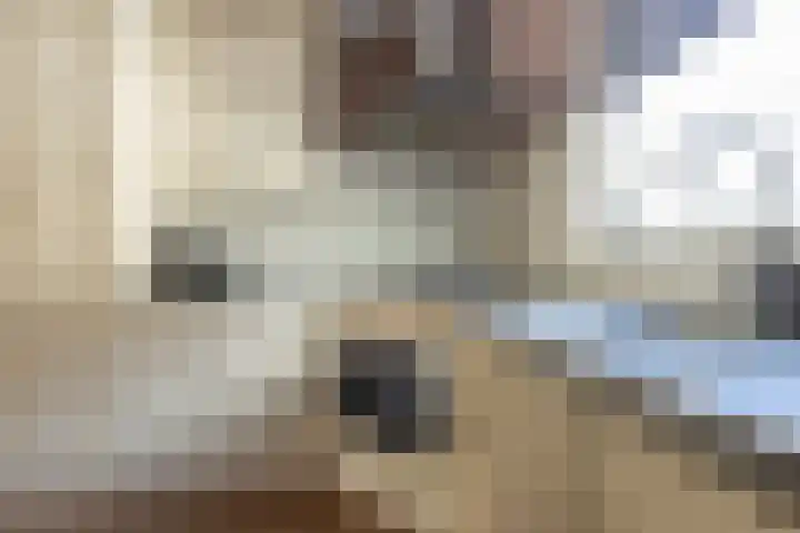 IJsbaan 12 Leiden thumbnail 12