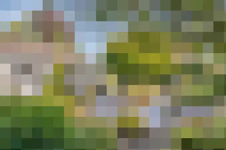 IJsbaan 12 Leiden thumbnail 16