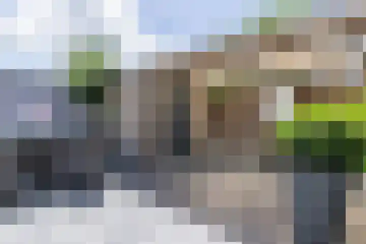 IJsbaan 12 Leiden thumbnail 17