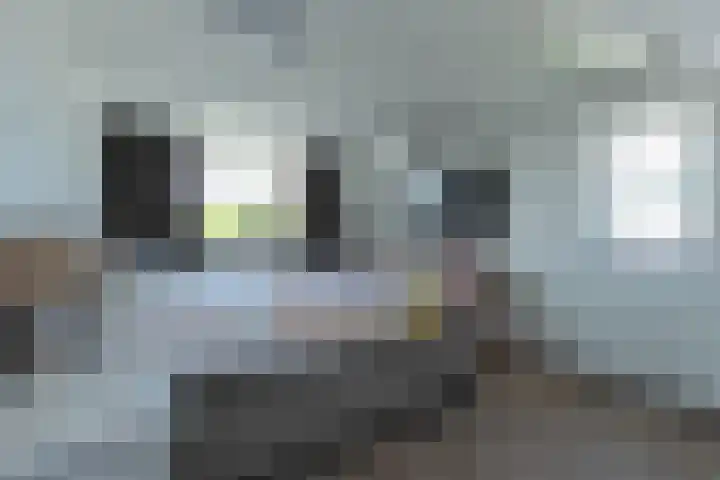 IJsbaan 12 Leiden thumbnail 32