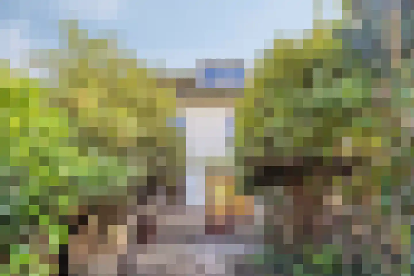 IJsbaan 23 Leiden thumbnail 10
