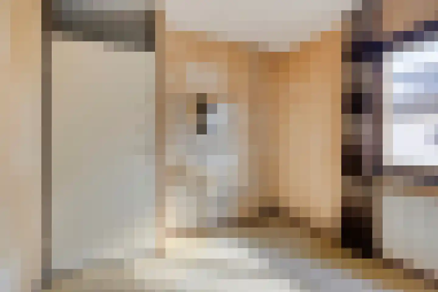 IJsbaan 23 Leiden thumbnail 18