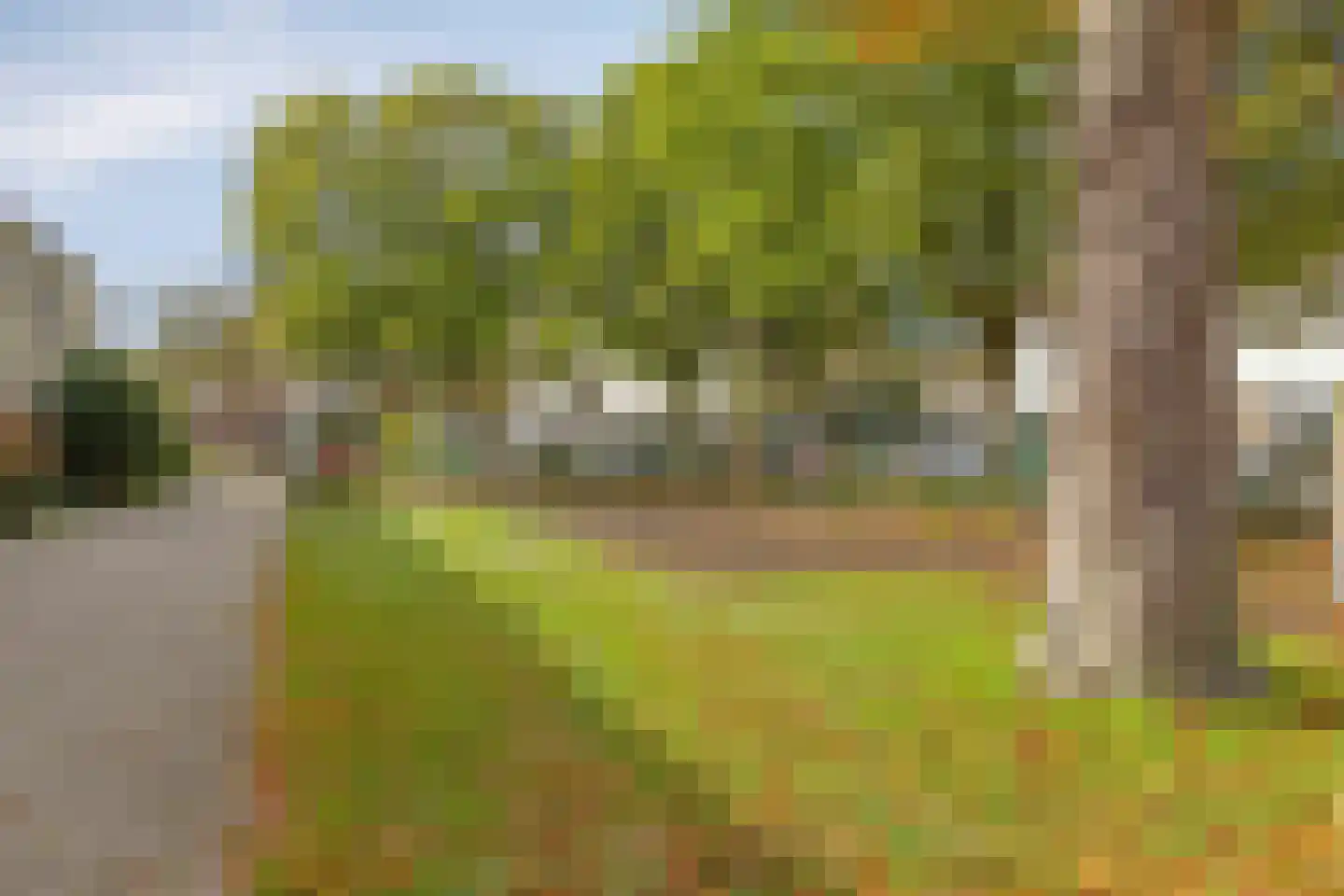IJsbaan 23 Leiden thumbnail 24