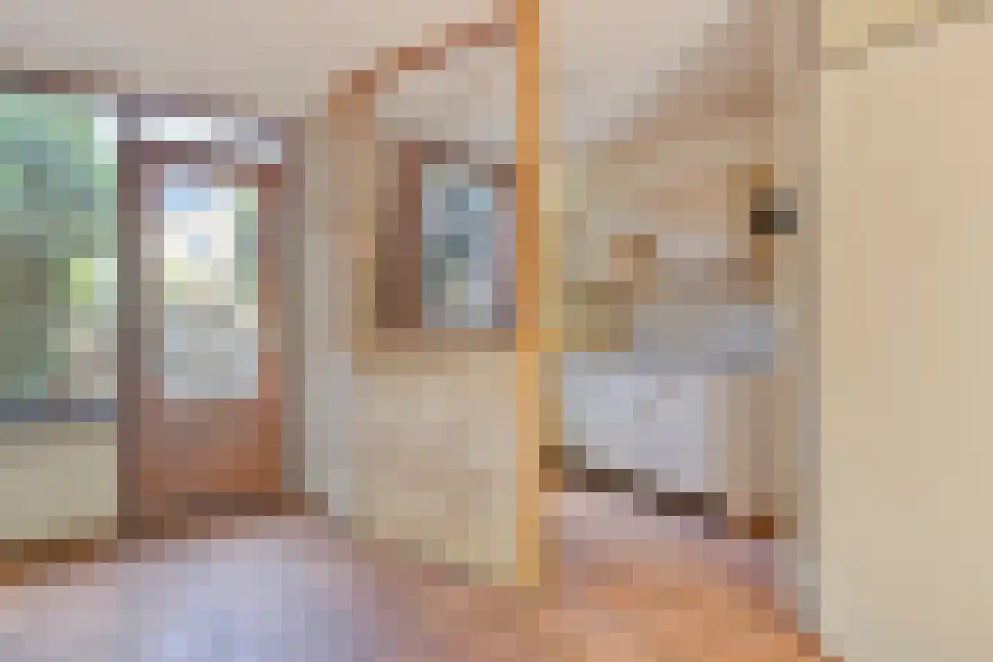 IJsbaan 23 Leiden thumbnail 9