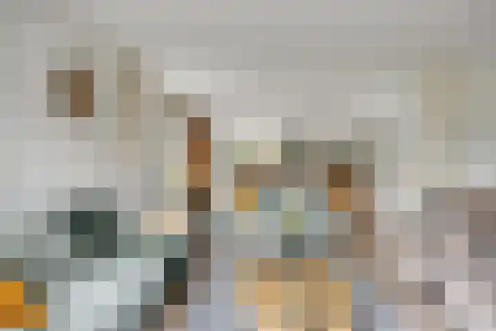IJsbaan 93 Sliedrecht thumbnail 12