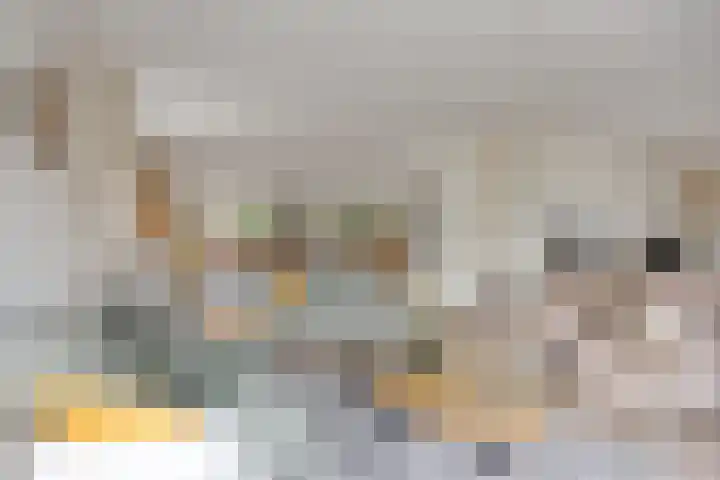 IJsbaan 93 Sliedrecht thumbnail 13