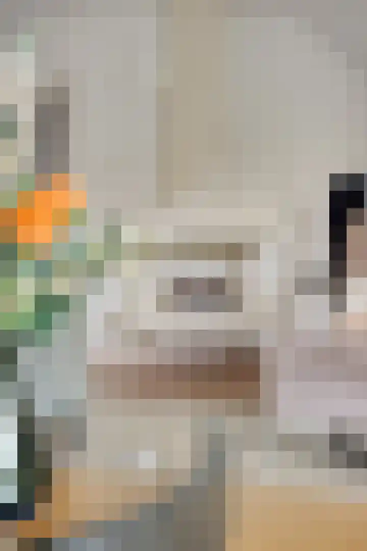 IJsbaan 93 Sliedrecht thumbnail 14