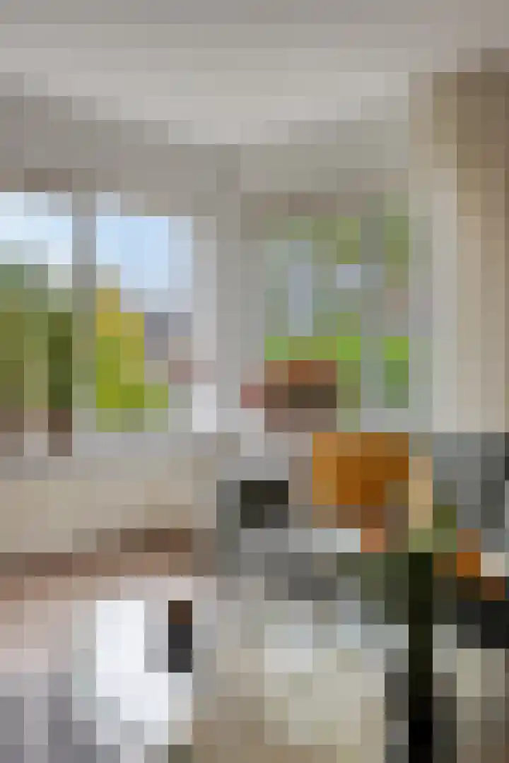 IJsbaan 93 Sliedrecht thumbnail 15