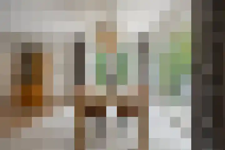 IJsbaan 93 Sliedrecht thumbnail 16